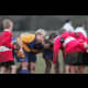 image 15 of 54